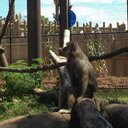 Dane May - @dane_may - Twitter