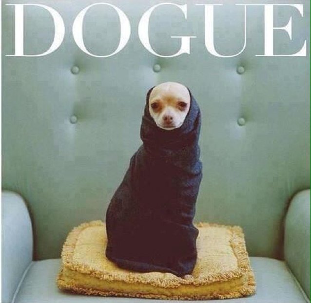 Leo8oeL's profile picture. Good, very good, extra good. Naughty, very naughty, extra naughty. haha-hehe-ooh-ooooooh-OoOOH :) Hop on.. I'm sure you'll love it