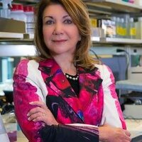 Dr Deborah Mash (@drdeborahmash) 's Twitter Profile