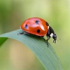Life Is Beautiful!!!