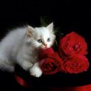 om hmny (@1969Ff) Twitter