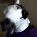 Fabio Sakuda (@xilfx) Twitter profile photo