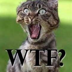 lesnewsdunet's profile picture. Ici vidéos délirantes, rire et musiques sont au rendez-vous !!