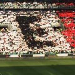 EmaDilantoreis's profile picture. 