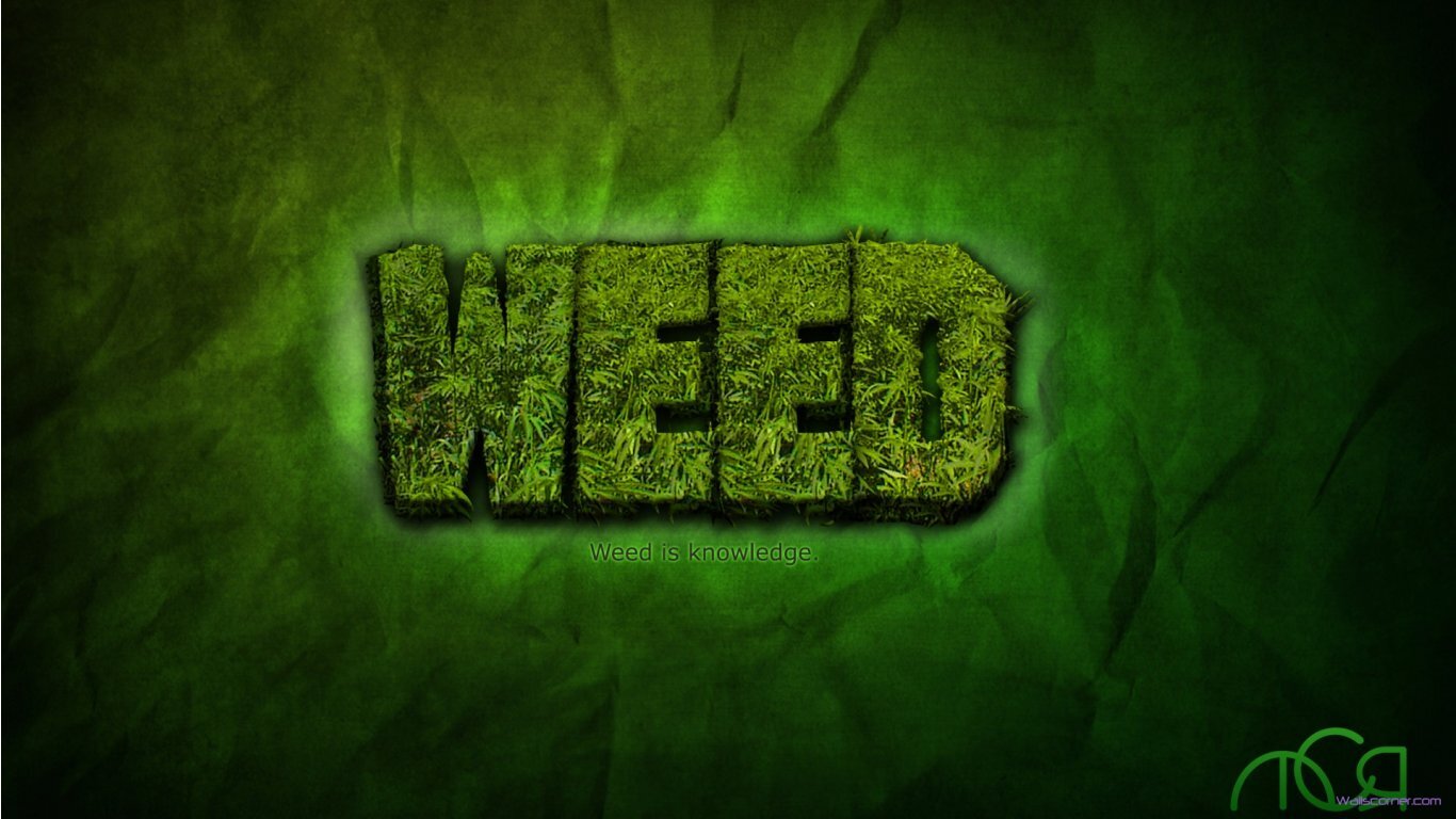 Legalize Marijuana and stop lying about it! We're living in the golden milenium