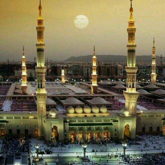 ابو عمار للتواصل علي الخاص