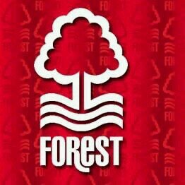 Like comment subcribe to my youtube channel-Matthew Phillips with the forest logo