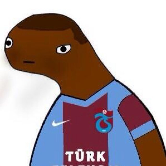 Florent Johan Malouda, a French footballer, i currently play for Turkish side Trabzonspor. Once a prominent figure for Chelsea,