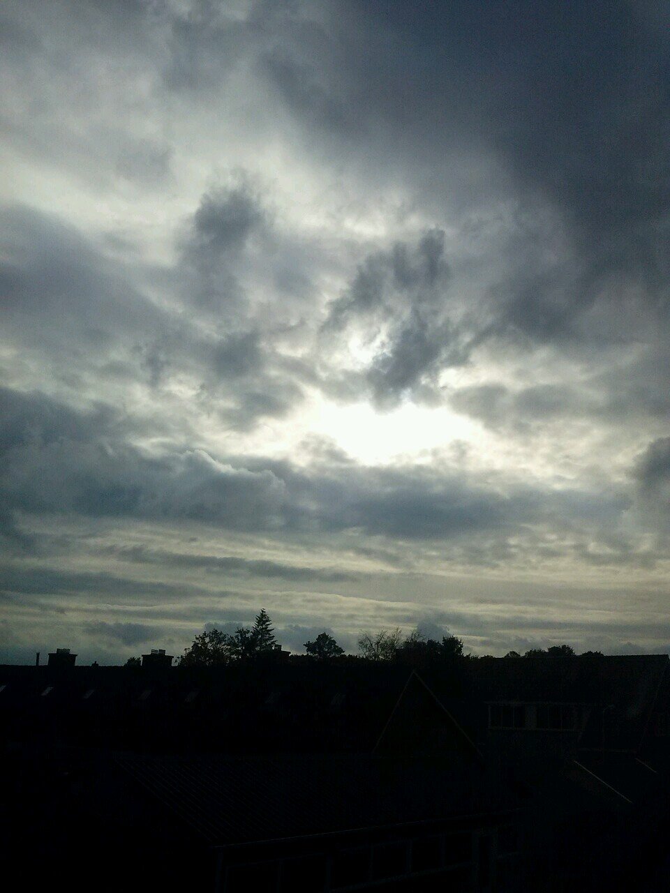 bettymkempenaar's profile picture. 