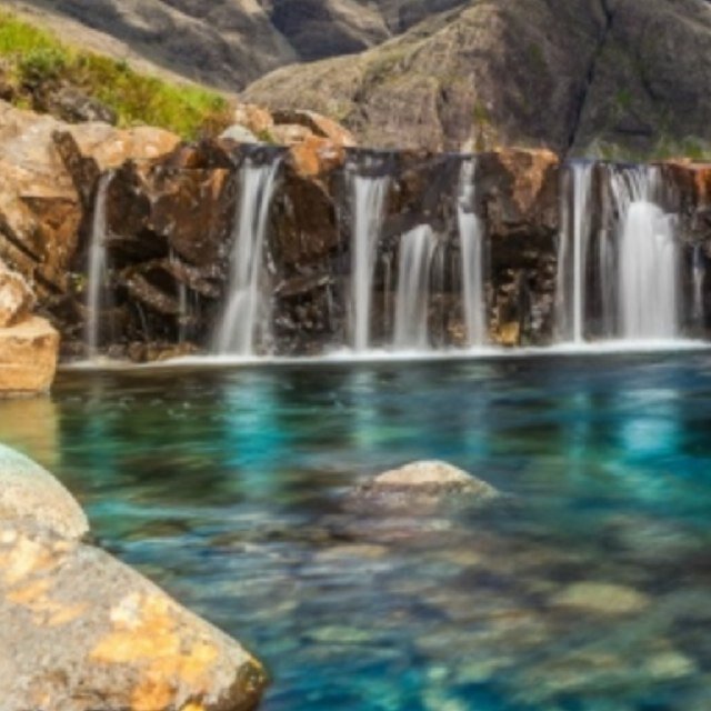 maguitarojas's profile picture. 