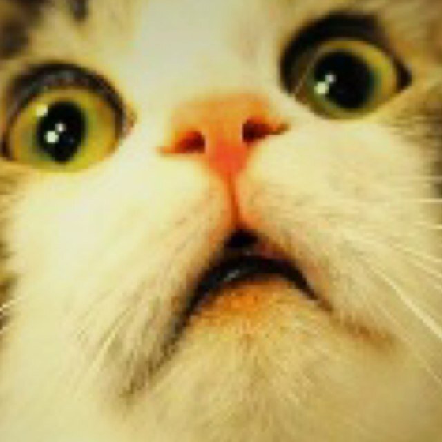 So_Slickk's profile picture. Yt/ItsSlickk. Gamertag-xbox-Slickk oG Instagram/Slickk_oG