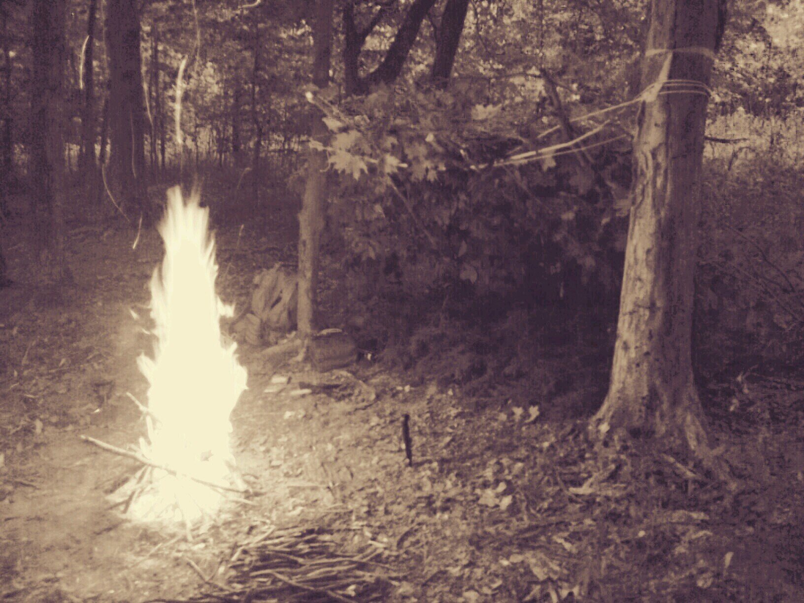 PreppersForge's profile picture. 