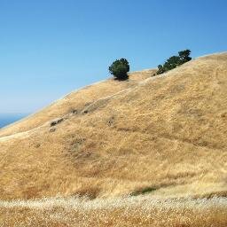 photo blog about San Francisco, California