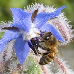 bbsmallholding Profile Picture