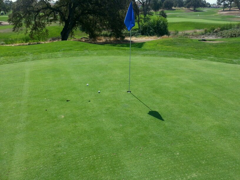 LakeDownham's profile picture. 