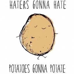 We are just gaming potatoes doing our best to make you laugh :D. Our goal is to get 1.000 Subscribers before 2016. Also some comedy might be up in 2015!!!