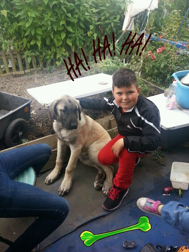 mustafacan2108's profile picture. 