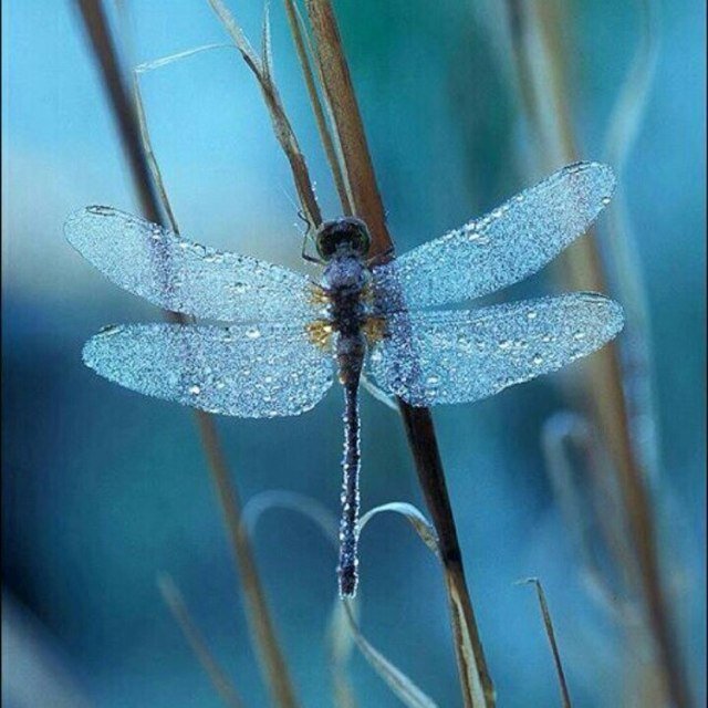 life is beautiful