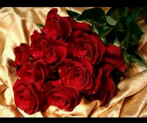 ‏‏‏‏‏‏‏الـعَـلاقـَة لا تـُقاس بـَطُـوُلِ العُـشْـرَه إِنـَـمـَا بِـجَمِيل الاثـَر
