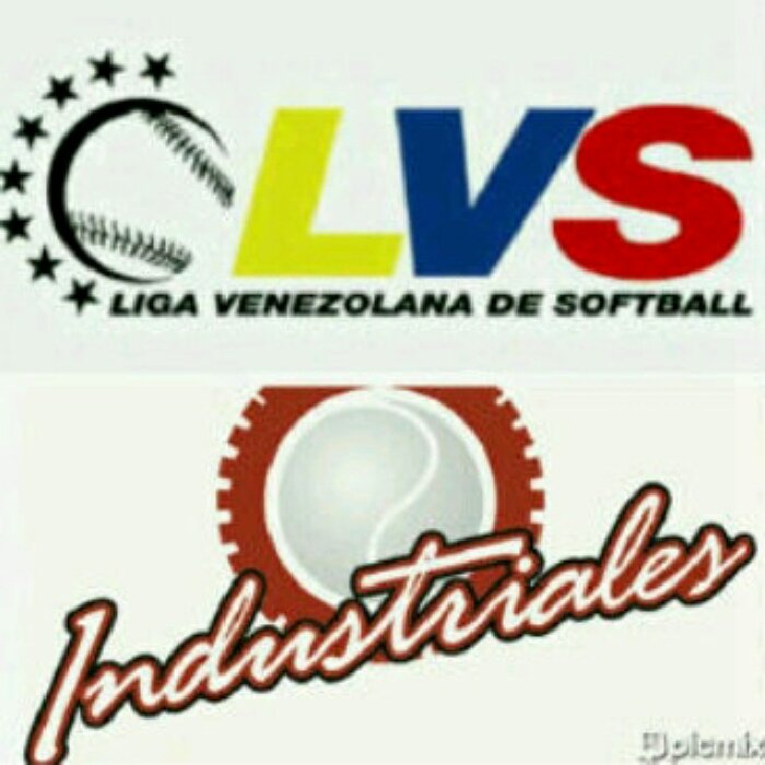 Servidor Público, Directivo de Industriales de Carabobo Softbol Club
