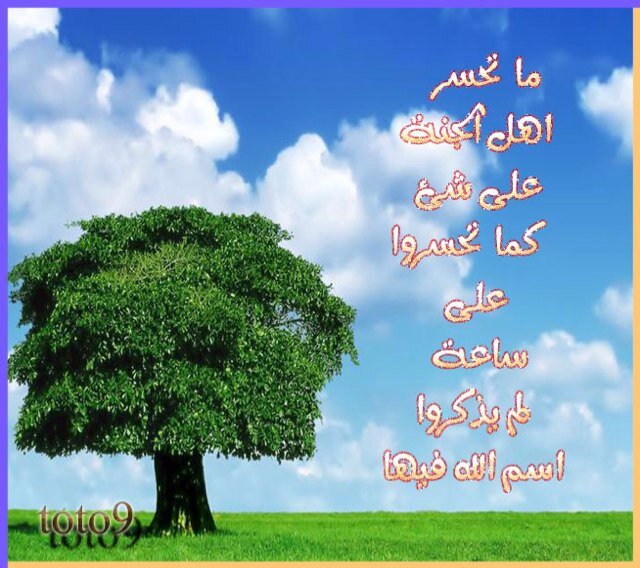 ياااارب رضاك والجنة  تغريداتي انتقاء مما يعجبني وتعبير عن رأيي
