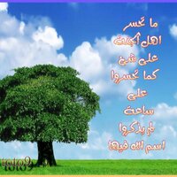 ريم القصيم (@rem488) 's Twitter Profile