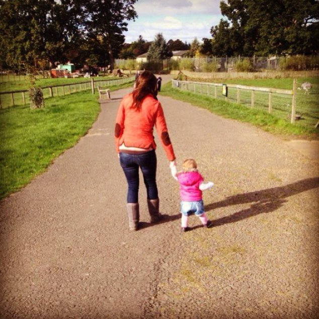 jocey1981's profile picture. 