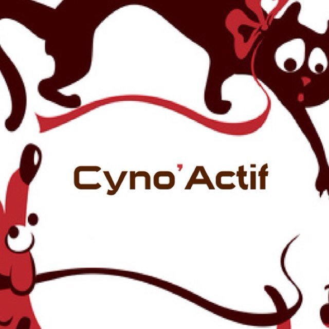 grosse_bouffe's profile picture. Services à domicile pour animaux:
-Visite à domicile
-Promenade canine
-Pension en milieu familial
-Transport et accompagnement
-Service sanitaire
-Toilettage