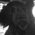 Dave2304 (@davidcharlese) Twitter profile photo