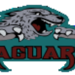 Jaguar Sports