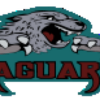 Jaguar Sports (@vhsjagathletics) 's Twitter Profile