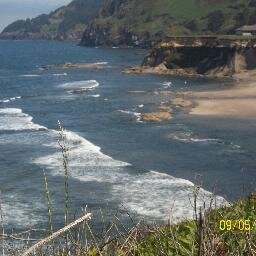 spokanian's profile picture. Optimistic progressive