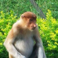 Carys Gwilym (@carysgwil) 's Twitter Profile