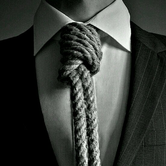 CatSophisti's profile picture. Role Model.