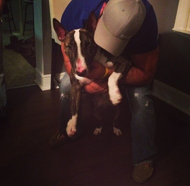 r_english4's profile picture. 