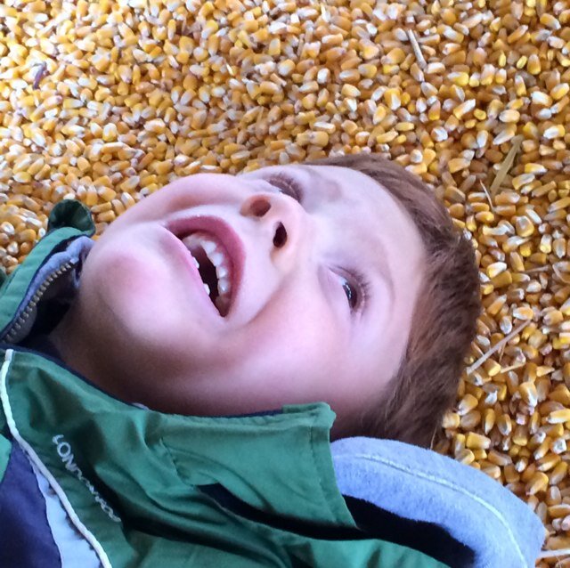 HappyhoffeLib's profile picture. 