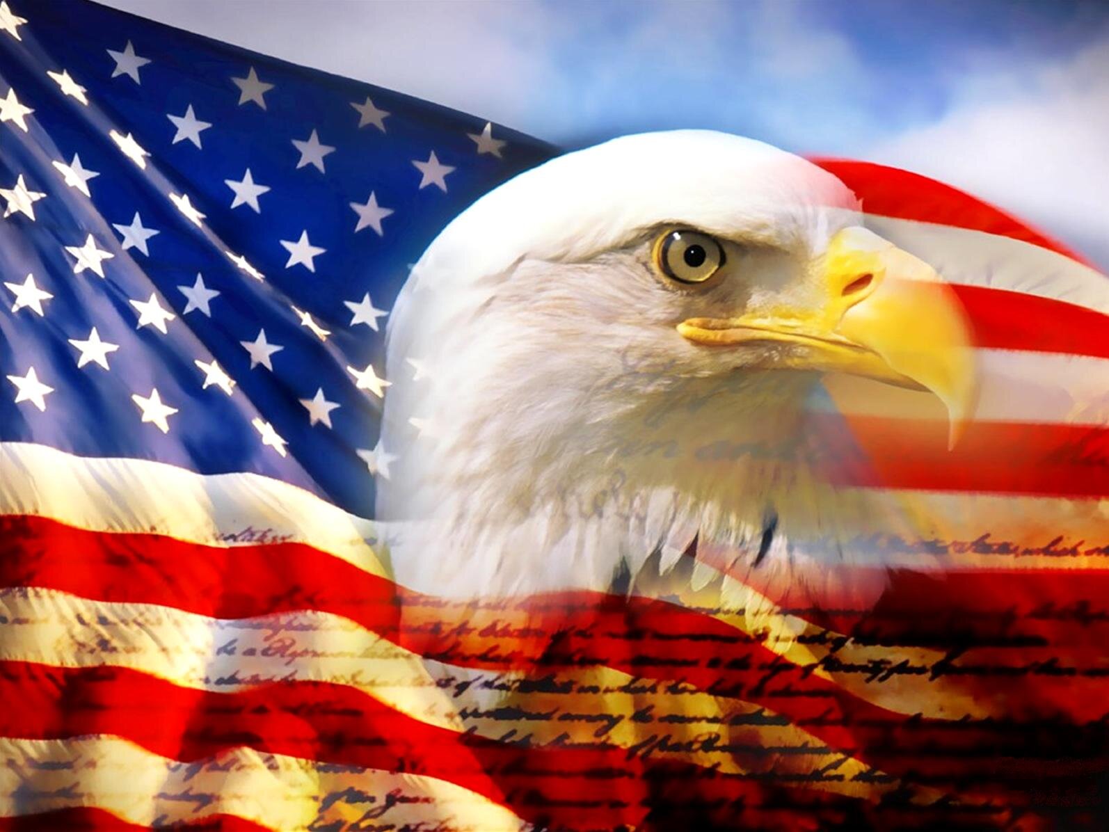 Veteran, more left than middle, NC resident, opposing 45 (*), and I'm  taking the eagle BACK for true patriots!