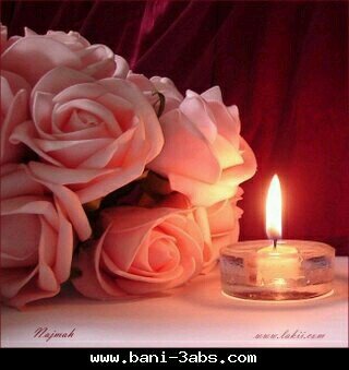 nora_algarni's profile picture. أعيش حياتي بشموخ و قوه .. أسرح بخيالي في عالمي فتجذبني عائلتي و صديقاتي و تؤلمني الحياة إذا فارقتهم