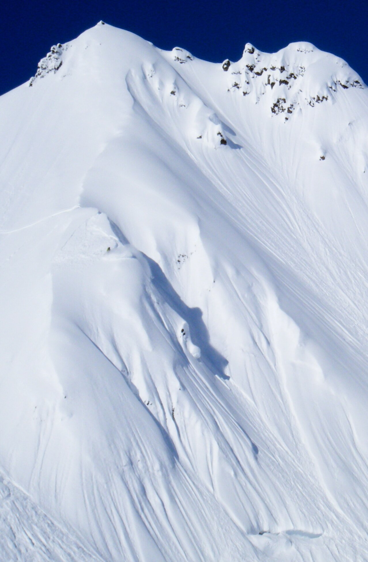 AK_Heliskiing's profile picture. Heliskiing company out of Haines Alaska taking you to the best terrain in the world!!!