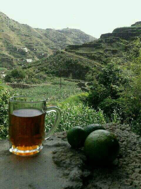 ‏‏‏سبحان الله وبحمده