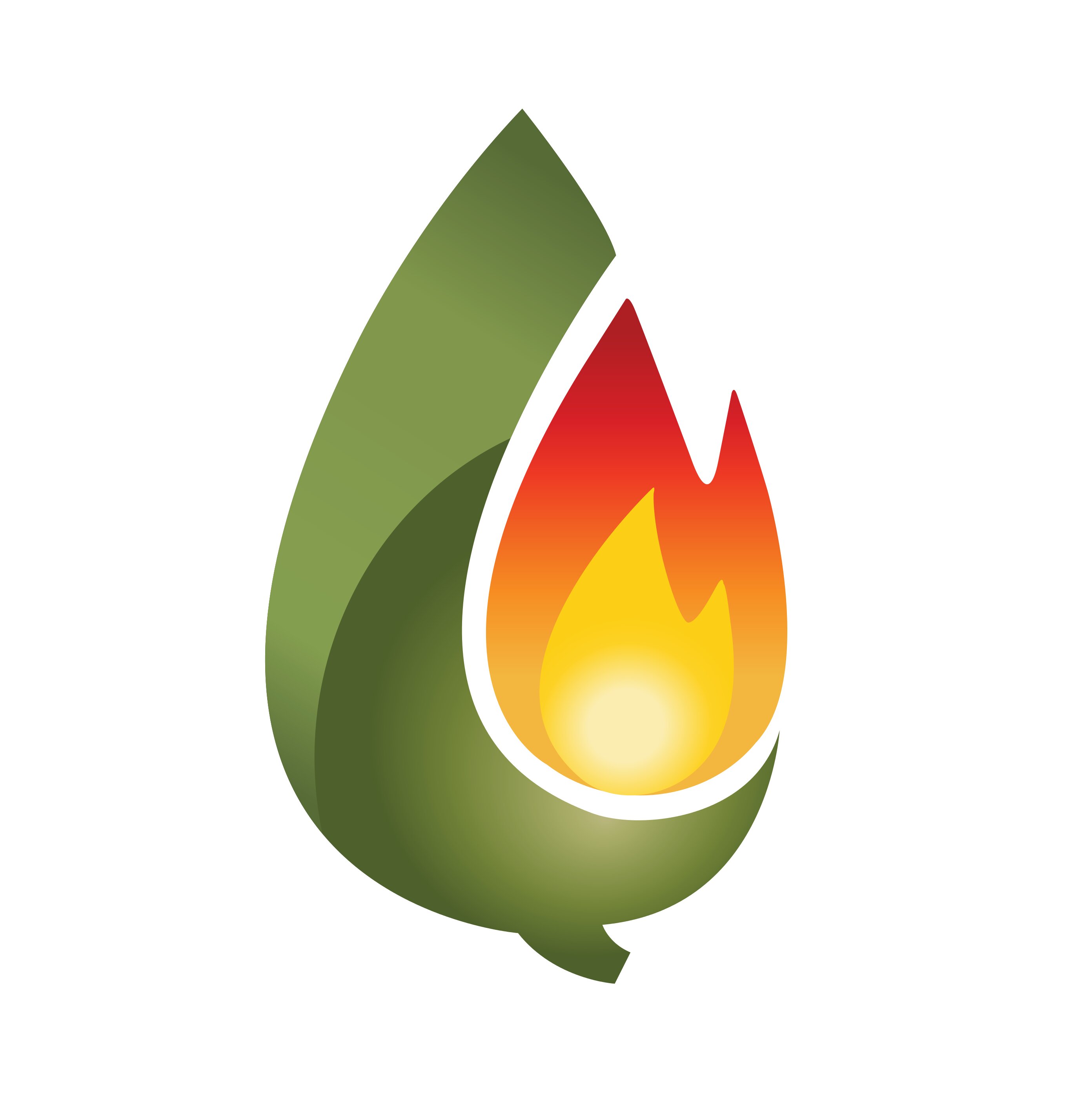 Firewood, wood pellets and wood chip heating systems for Canada