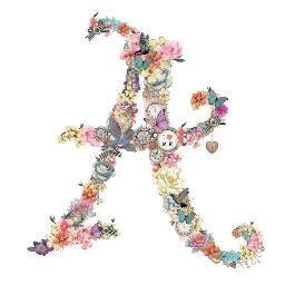 AccessorizeVe