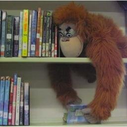 Honor Gillies: Teacher Librarian, Science Geek, Story Lover, Appalling Juggler
