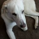 crystal biddle - @littlebit656 - Twitter