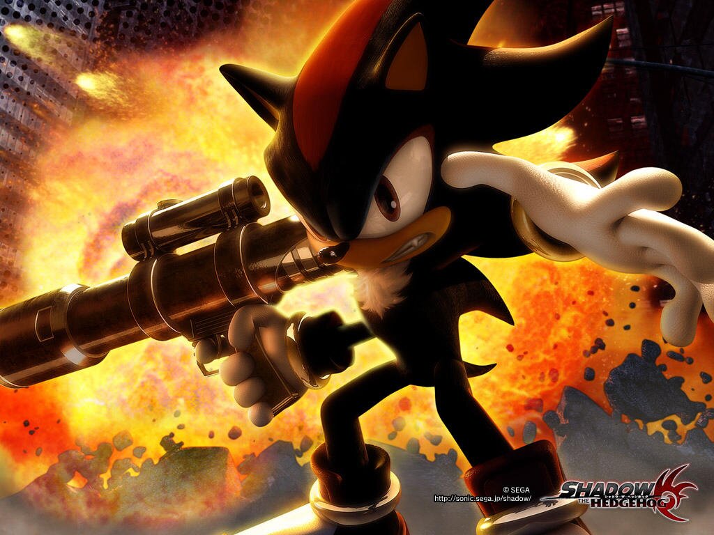 The account trying to raise awarenes for Shadow The Hedgehog 2. Sign this petition https://t.co/DsVniN9sgM