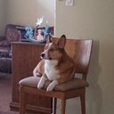 dylan friel - @dylanfriel1 - Twitter