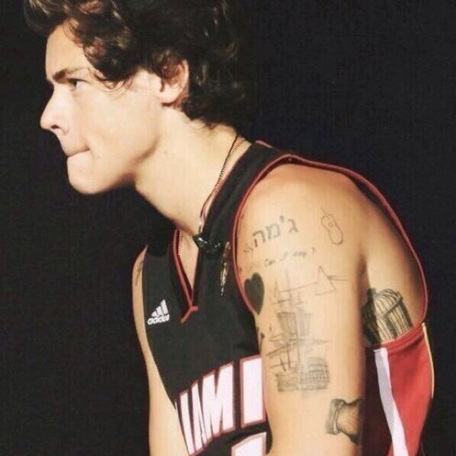 HarryStylesVA's profile picture. 