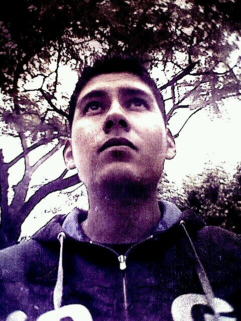 Me gusta la música y todo lo relacionado a la tecnología y computación.Estudio ingeniería en diseño de software y soy músico ocasional.