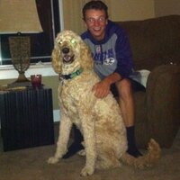 Logan Gebhards (@gebatron15) 's Twitter Profile Photo