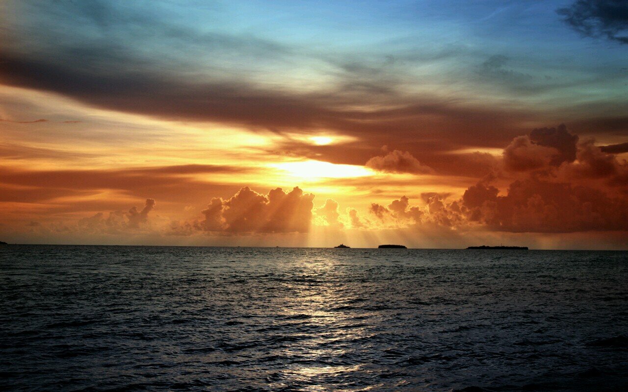 toola678's profile picture. 